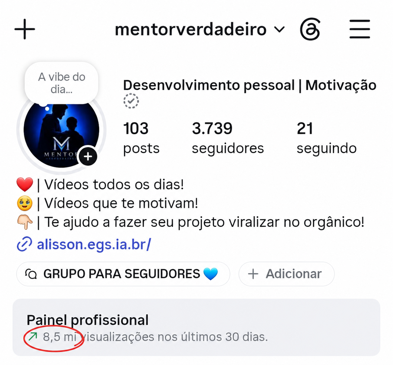 Perfil e alcance — 8,5 mi de visualizações nos últimos 30 dias.